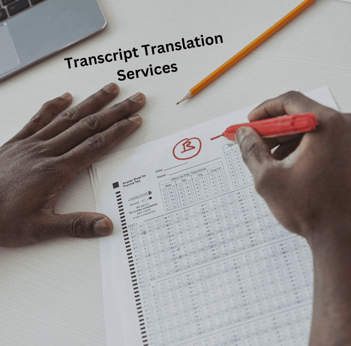Precise Transcript Translation New Zealand for Higher Education Success